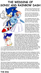 Size: 845x1485 | Tagged: artist needed, source needed, safe, background pony strikes again, crossover, crossover shipping, female, interspecies, love, male, parody, poe's law, shipping, sonic the hedgehog, sonic the hedgehog (series), sonicdash, straight, text, tl;dr