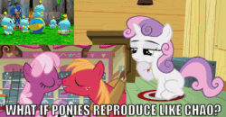 Size: 978x510 | Tagged: safe, edit, edited screencap, screencap, big macintosh, cheerilee, sweetie belle, earth pony, pony, hearts and hooves day (episode), one bad apple, animated, caption, chao, cheerimac, crossover, headcanon, image macro, male, shipping, sonic adventure, sonic the hedgehog (series), stallion, straight