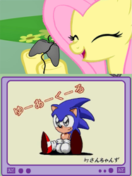 Size: 563x752 | Tagged: safe, derpibooru import, fluttershy, pegasus, pony, controller, crossover, exploitable meme, eyes closed, female, gamershy, happy, hoof hold, japanese, mare, meme, open mouth, pink mane, screen, smiling, sonic the hedgehog, sonic the hedgehog (series), tv meme, yellow coat