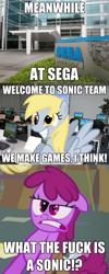 Size: 606x1522 | Tagged: safe, edit, edited screencap, screencap, berry punch, berryshine, derpy hooves, pegasus, pony, call of the cutie, crossover, female, image macro, jontron, mare, meme, parody, sega, sonic r is the best game evaaar, sonic the hedgehog (series), vulgar