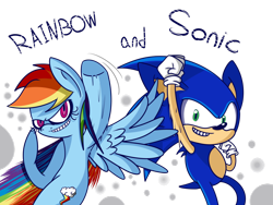 Size: 1024x768 | Tagged: safe, artist:extradan, derpibooru import, rainbow dash, pegasus, pony, crossover, simple background, sonic the hedgehog, sonic the hedgehog (series), transparent background