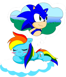 Size: 900x1052 | Tagged: safe, artist:carol-aredesu, derpibooru import, rainbow dash, pegasus, pony, crossover, crossover shipping, female, interspecies, male, shipping, sonic the hedgehog, sonic the hedgehog (series), sonicdash, straight