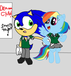 Size: 900x958 | Tagged: safe, artist:cartoonfangirl4, derpibooru import, rainbow dash, pegasus, pony, 1000 hours in ms paint, background pony strikes again, crossover, female, friendship, male, ms paint, shipping, sonic the hedgehog, sonic the hedgehog (series), sonicdash, straight