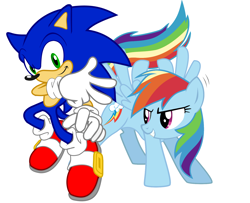 Size: 1600x1300 | Tagged: safe, artist:batterypoweredmonkey, derpibooru import, rainbow dash, pegasus, pony, crossover, simple background, sonic the hedgehog, sonic the hedgehog (series), vector, white background