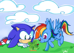 Size: 1000x710 | Tagged: safe, artist:chibiirose, derpibooru import, rainbow dash, ladybug, pegasus, pony, chibi, clover, crossover, female, four leaf clover, mare, sonic the hedgehog, sonic the hedgehog (series)