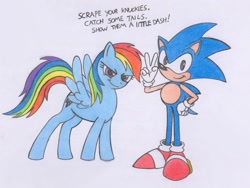 Size: 926x695 | Tagged: safe, artist:spectrum-sparkle, derpibooru import, rainbow dash, pegasus, pony, crossover, sonic the hedgehog, sonic the hedgehog (series), traditional art