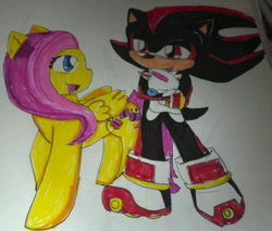 Size: 540x460 | Tagged: safe, artist:spunkymongoose, derpibooru import, angel bunny, fluttershy, pegasus, pony, crossover, crossover shipping, female, fluttershadow, interspecies, love, male, shadow the hedgehog, shipping, sleeping, sonic the hedgehog (series), straight, traditional art