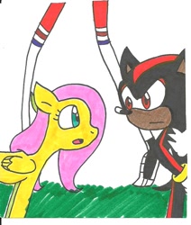 Size: 720x848 | Tagged: safe, artist:cmara, derpibooru import, fluttershy, pegasus, pony, crossover, foster's home for imaginary friends, shadow the hedgehog, sonic the hedgehog (series), traditional art, wilt (foster's home for imaginary friends)