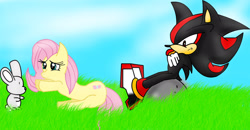 Size: 2499x1296 | Tagged: safe, artist:eliteyagami64, derpibooru import, fluttershy, pegasus, pony, rabbit, crossover, rock, shadow the hedgehog, sitting, sonic the hedgehog (series)