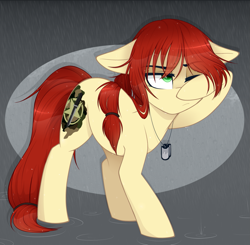 Size: 1175x1150 | Tagged: safe, artist:higglytownhero, derpibooru import, oc, oc:shank, earth pony, pony, covering, dog tags, one eye closed, rain, solo