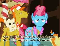 Size: 600x462 | Tagged: safe, carrot cake, cup cake, pound cake, pumpkin cake, diaper, insane pony thread, tired, tumblr