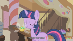 Size: 500x277 | Tagged: safe, screencap, twilight sparkle, parasprite, pony, unicorn, female, horn, mare, youtube caption