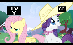 Size: 960x600 | Tagged: safe, derpibooru import, screencap, fluttershy, rarity, pegasus, pony, unicorn, a canterlot wedding, youtube caption