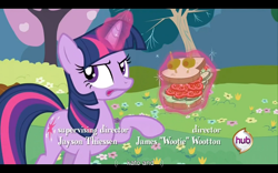 Size: 960x600 | Tagged: safe, screencap, twilight sparkle, pony, unicorn, a canterlot wedding, female, horn, mare, youtube caption