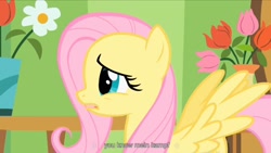 Size: 1344x756 | Tagged: safe, derpibooru import, screencap, fluttershy, pegasus, pony, green isn't your color, mein kampf, youtube caption