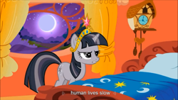 Size: 750x422 | Tagged: safe, screencap, twilight sparkle, meme, solo, youtube caption