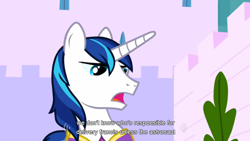 Size: 854x480 | Tagged: safe, screencap, shining armor, twilight sparkle, pony, unicorn, meme, solo, youtube caption