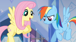 Size: 640x355 | Tagged: safe, derpibooru import, screencap, fluttershy, rainbow dash, pegasus, pony, games ponies play, meme, mlp-captions, youtube caption