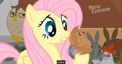 Size: 1150x608 | Tagged: safe, derpibooru import, screencap, fluttershy, pegasus, pony, princess twilight sparkle (episode), meme, youtube caption