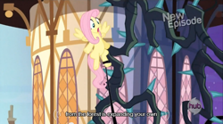 Size: 640x355 | Tagged: safe, derpibooru import, screencap, fluttershy, pegasus, pony, princess twilight sparkle (episode), season 4, meme, solo, youtube caption