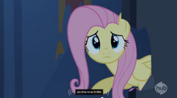 Size: 850x474 | Tagged: safe, derpibooru import, screencap, fluttershy, pegasus, pony, castle mane-ia, meme, mike, solo, youtube caption