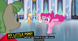 Size: 1151x609 | Tagged: safe, derpibooru import, screencap, applejack, chickadee, fluttershy, ms. peachbottom, pinkie pie, rainbow dash, earth pony, pegasus, pony, meme, my little pussy screeched, youtube caption