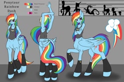 Size: 2000x1327 | Tagged: safe, artist:asklevee, derpibooru import, rainbow dash, anthro, centaur, original species, pegasus, ponytaur, taur, anthro centaur, backwards cutie mark, pegataur, reference sheet