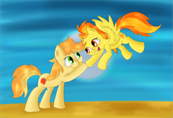 Size: 3358x2280 | Tagged: safe, artist:brok-enwings, derpibooru import, braeburn, spitfire, looking at each other, male, shipping, spitburn, straight