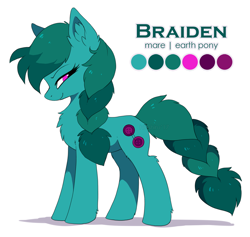 Size: 1200x1137 | Tagged: safe, artist:hioshiru, derpibooru import, oc, oc only, oc:braiden, earth pony, pony, reference sheet, simple background, solo, white background