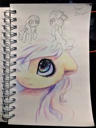 Size: 960x1280 | Tagged: safe, artist:inowiseei, derpibooru import, sweet biscuit, pony, unicorn, crayon, female, mare, photo, sketch, solo, traditional art