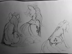 Size: 1280x960 | Tagged: safe, artist:greyscaleart, derpibooru import, applejack, earth pony, pony, eyes closed, monochrome, pencil drawing, rear view, sitting, sketch, solo, traditional art