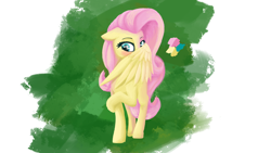 Size: 3840x2160 | Tagged: safe, artist:phenya, derpibooru import, fluttershy, pegasus, pony, blushing, covering, covering face, cute, floppy ears, head turn, shy, shyabetes, simple background, solo, wing covering