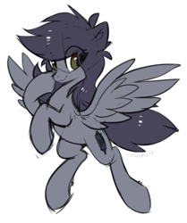 Size: 619x740 | Tagged: safe, artist:hioshiru, derpibooru import, oc, oc only, oc:kate, pegasus, pony, explicit source, race swap, simple background, sketch, solo, white background