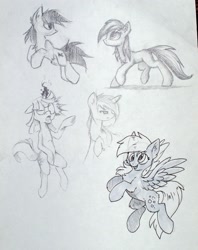 Size: 2107x2658 | Tagged: safe, artist:fajeh, artist:hioshiru, artist:kejifox, artist:setharu, artist:skrapbox, derpibooru import, derpy hooves, roseluck, twilight sparkle, sketch, traditional art