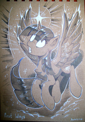 Size: 1305x1875 | Tagged: safe, artist:hioshiru, derpibooru import, twilight sparkle, twilight sparkle (alicorn), alicorn, pony, colored pencil drawing, female, flying, glowing eyes, glowing horn, mare, marker drawing, solo, traditional art