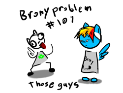 Size: 754x569 | Tagged: safe, artist:saphire-systrine, derpibooru import, rainbow dash, anthro, pegasus, 4chan, brony problems, brony stereotype, fan, fanboy, meme