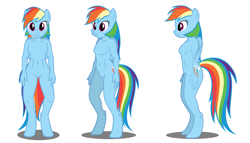 Size: 1591x913 | Tagged: safe, artist:flash equestria photography, derpibooru import, rainbow dash, anthro, unguligrade anthro, barbie doll anatomy, female, show accurate anthro, simple background, solo, white background