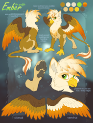 Size: 3103x4088 | Tagged: safe, artist:hioshiru, derpibooru import, oc, oc only, oc:ember burd, griffon, beak, claws, colored wings, ear fluff, eared griffon, gradient wings, griffon oc, high res, multicolored wings, paws, reference sheet, sitting, spread wings, standing, talons, text, underpaw, wings