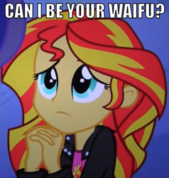 Size: 448x471 | Tagged: safe, sunset shimmer, human, equestria girls, equestria girls (movie), begging, bronybait, cute, hilarious in hindsight, image macro, shimmerbetes, solo, waifu