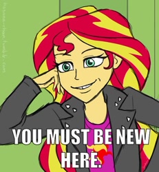 Size: 500x541 | Tagged: safe, artist:hasana-chan, sunset shimmer, equestria girls, 30 minute art challenge, caption, condescending sunset shimmer, condescending wonka, image macro, meme, solo, you must be new here