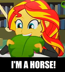 Size: 836x912 | Tagged: safe, sunset shimmer, epic fails (equestria girls), eqg summertime shorts, equestria girls, best horse, lol, you don't say