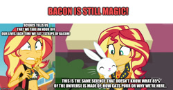 Size: 965x500 | Tagged: safe, edit, edited screencap, screencap, angel bunny, sunset shimmer, better together, equestria girls, forgotten friendship, bacon, food, funny, meat, meme