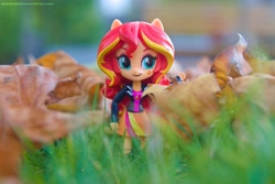 Size: 5379x3587 | Tagged: safe, artist:artofmagicpoland, sunset shimmer, equestria girls, doll, equestria girls minis, eqventures of the minis, leaves, looking at you, solo, sunset shimmer day, toy