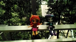 Size: 2560x1440 | Tagged: safe, rarity, sunset shimmer, equestria girls, changi airport, doll, hsbc rain vortex, singapore, toy, tree, waterfall