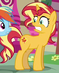 Size: 688x848 | Tagged: safe, screencap, rainbow dash, sunset shimmer, equestria girls, spring breakdown, cropped