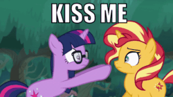 Size: 600x337 | Tagged: safe, edit, edited screencap, screencap, sci-twi, sunset shimmer, twilight sparkle, pony, unicorn, better together, equestria girls, spring breakdown, animated, boop, caption, cutie mark, equestria girls ponified, female, gif, glasses, image macro, impact font, le lenny face, lesbian, mare, nose to nose, noseboop, ponified, scitwishimmer, scrunchy face, shipping, shipping fuel, sunsetsparkle, text, unicorn sci-twi, vector