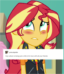 Size: 570x658 | Tagged: safe, edit, edited screencap, screencap, sunset shimmer, better together, equestria girls, forgotten friendship, blushing, female, implied lesbian, implied shipping, solo