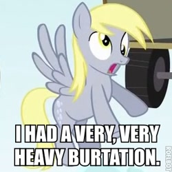 Size: 340x340 | Tagged: safe, derpy hooves, pegasus, pony, burtation, caption, female, image macro, mare