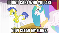 Size: 625x351 | Tagged: safe, princess celestia, alicorn, pony, dragonball z abridged, image macro, royal guard, super kami celestia