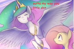 Size: 433x290 | Tagged: safe, artist:keterok, edit, fluttershy, princess celestia, alicorn, pegasus, pony, comic sans